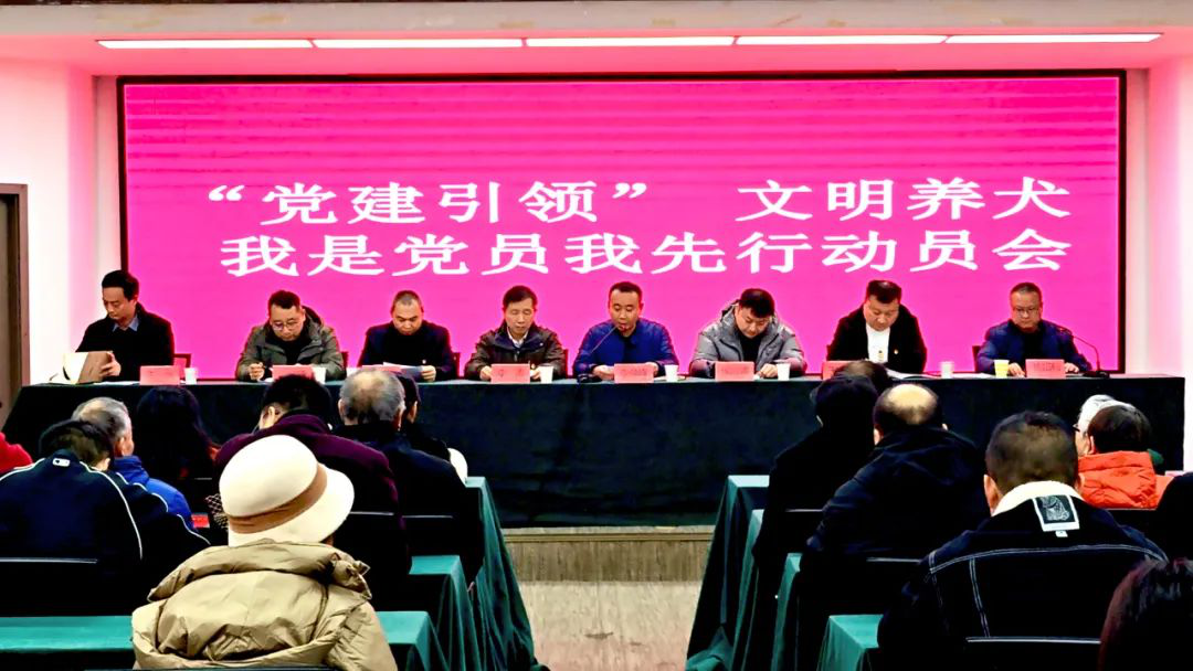 图片14.png
