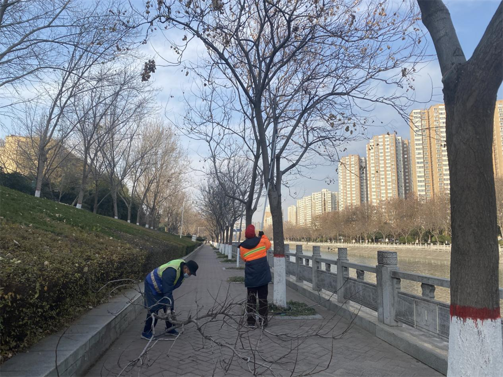 图片51.png