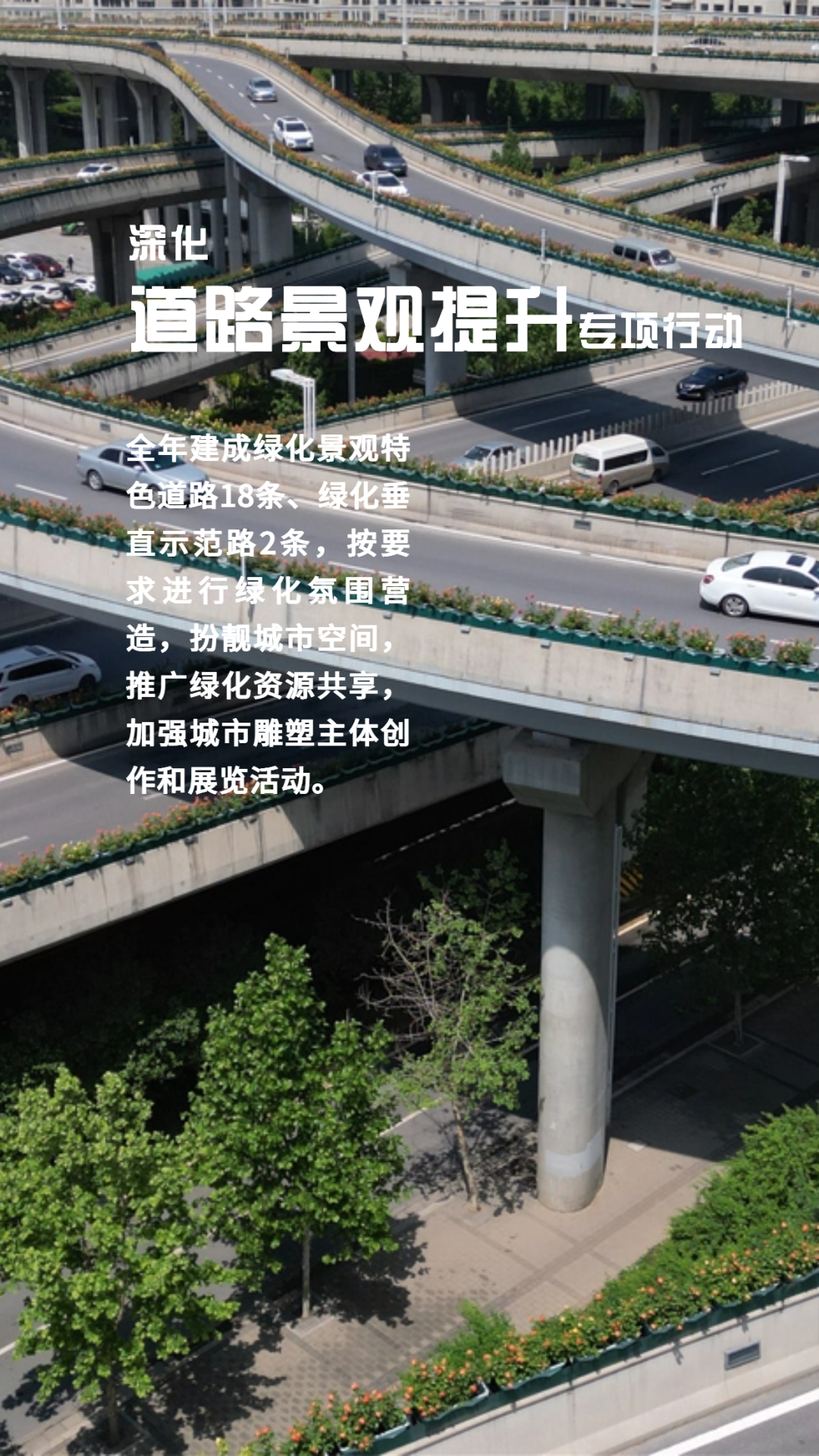 图片17.png