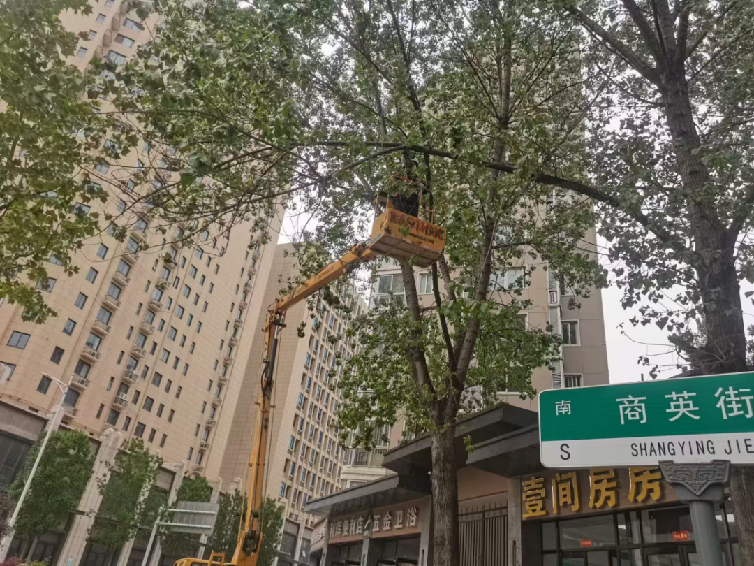 图片22.png
